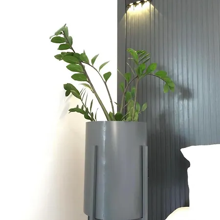 Lovely Appartement
